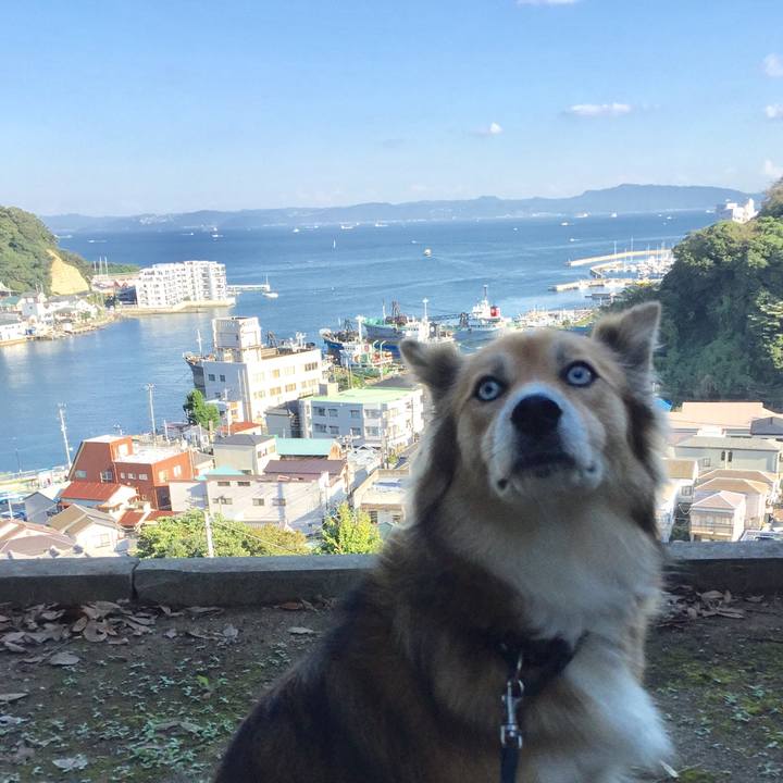 Cf4af09c ddc6 420a 8370 ac5c2610cf03