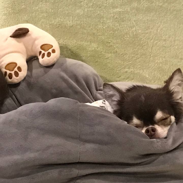 Cf4c1033 2caa 4959 a5d6 6e63d60d6137