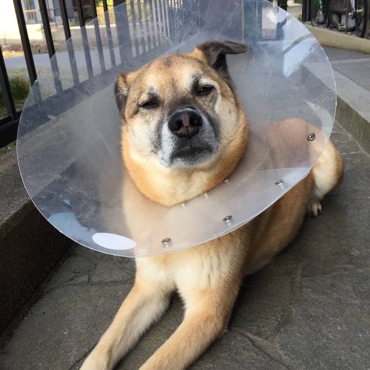 Cf4c7238 d2e8 400b 8628 233baeeb4033