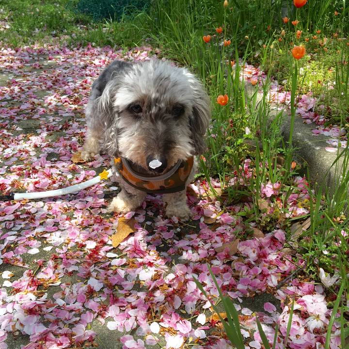 Cf4d76c7 8795 4f28 ab82 ff13e6c17137