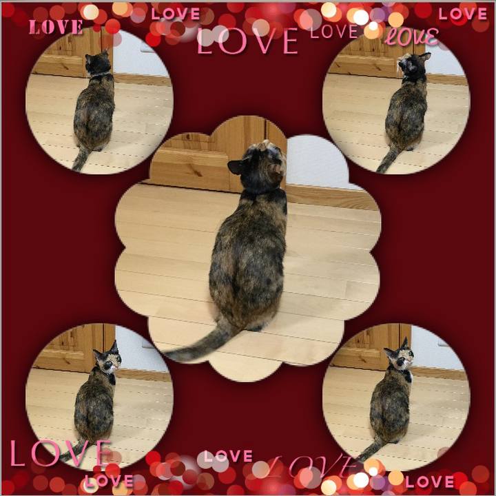 Cf4e6467 a860 4c77 955b 65f95e654a54