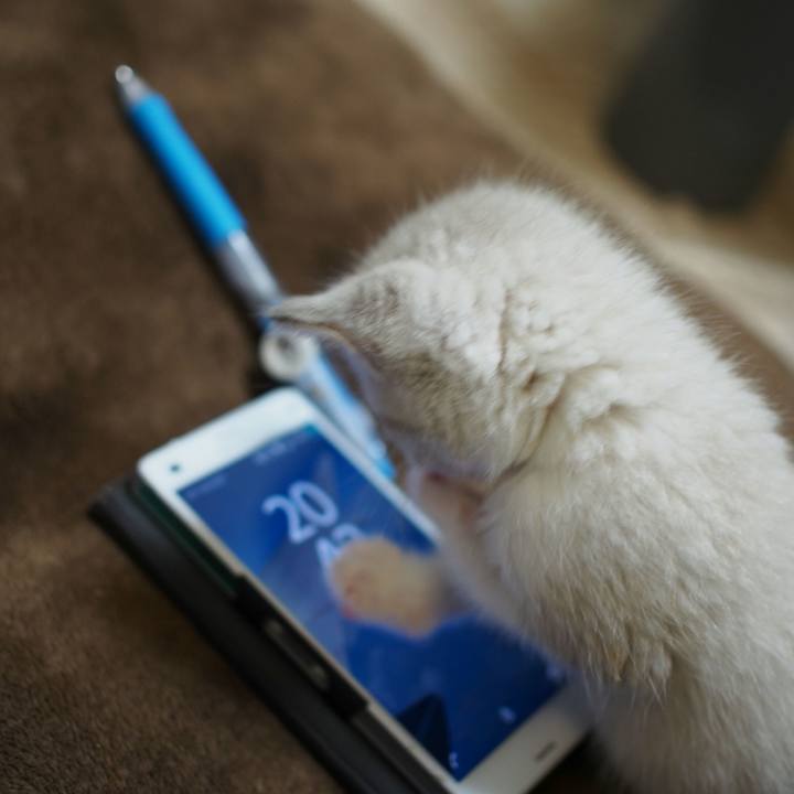 Cf4e68ae a31b 4424 8ee4 f3798d060e6e