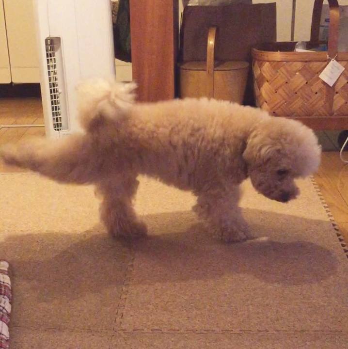 Cf4ebb86 0a9c 41ca b7d8 be6abdbe00ad