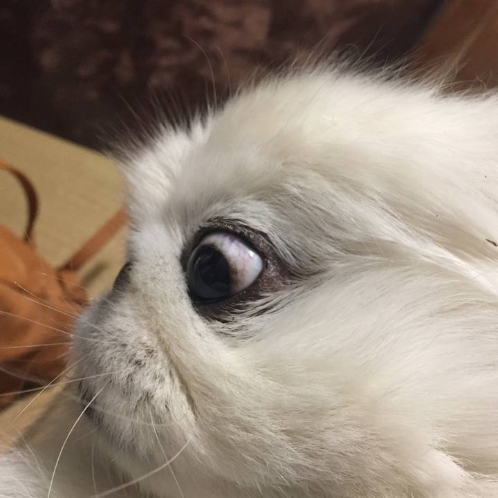 Cf4ed2c2 8a14 4aae af97 43fb3a7d85af