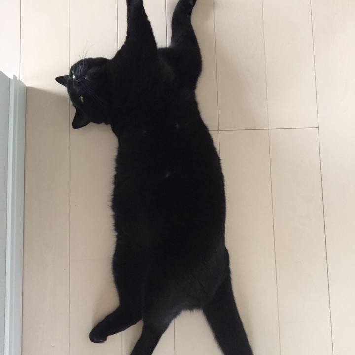 Cf4ee3f4 9ad7 4ca8 8b48 3acd24c7e495