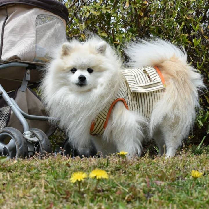 Cf4ee482 04ec 47b3 b779 703ee41f485e