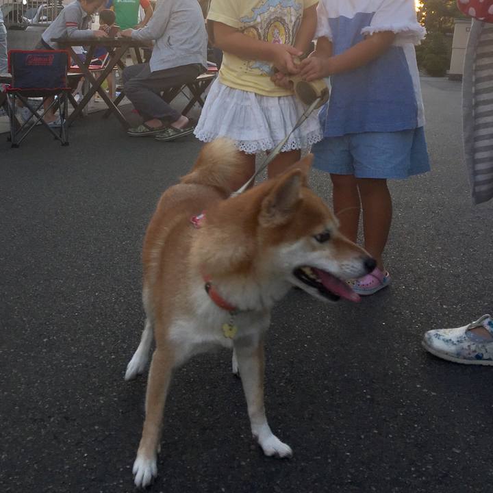 Cf4f436a 9ca0 43d6 9433 47c918a4dc82