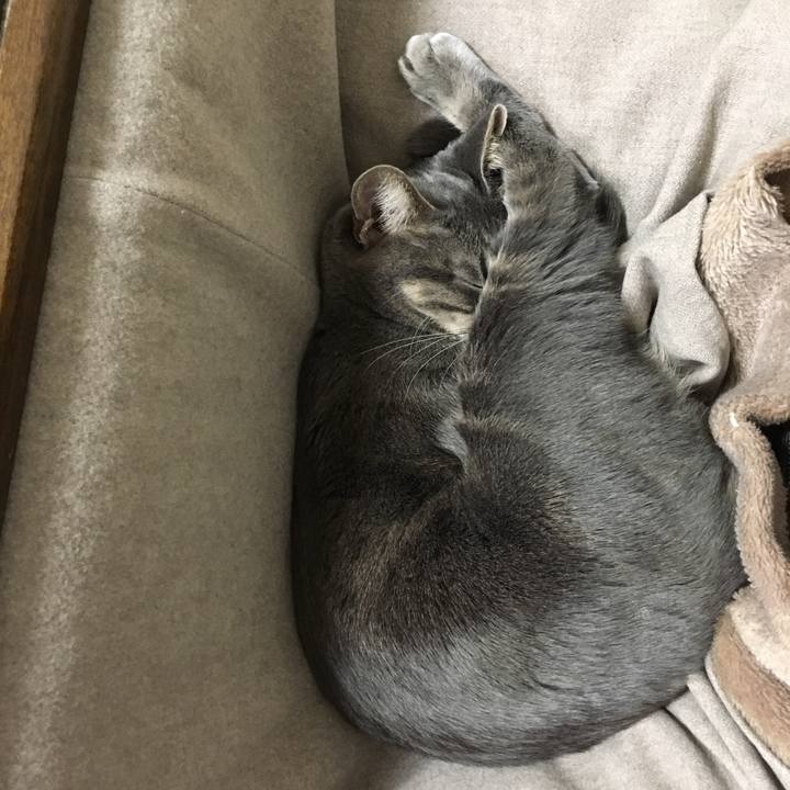 Cf4f8004 7175 437c 848e 56b6ef9b6331