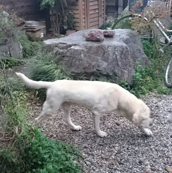 Cf500301 ff56 4a63 b896 6b0da0187e57