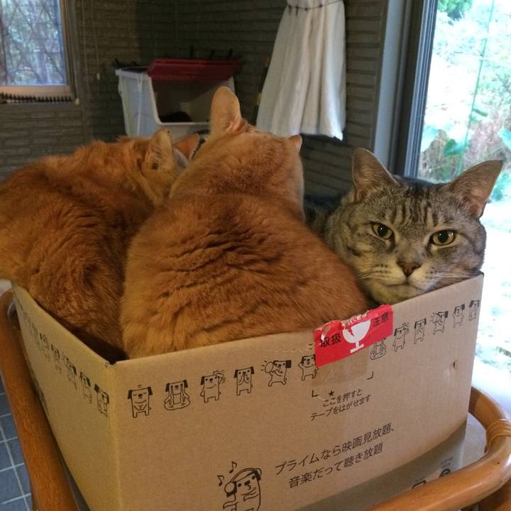 Cf502f52 9e6c 4d1b 8191 4339e031ae82