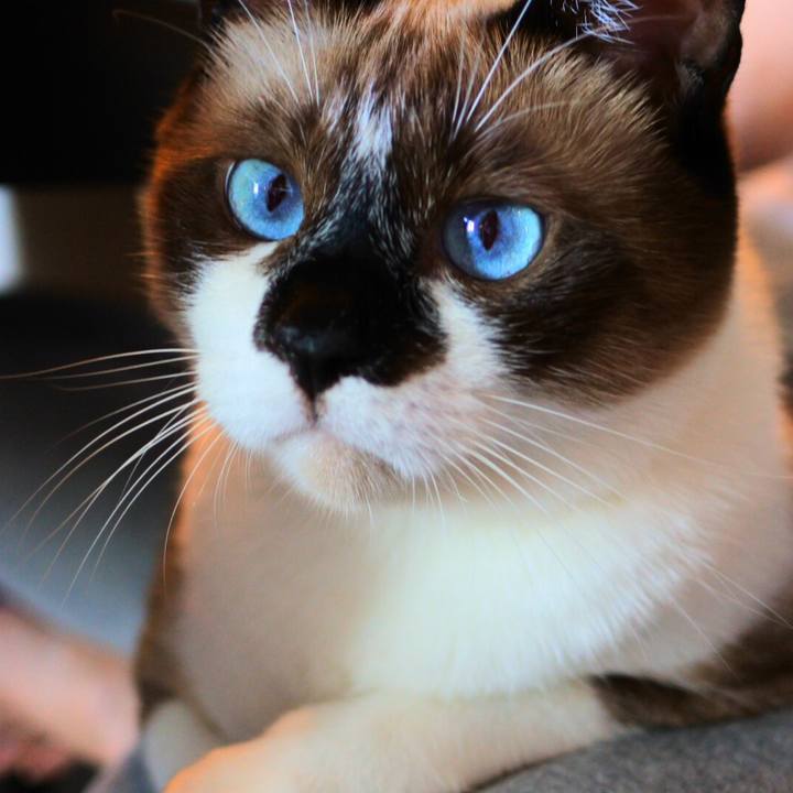 Cf50396b 2884 4575 9d8d ce4a8f4f4199