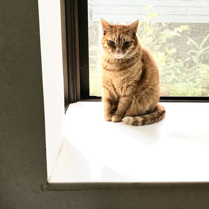 Cf50a2a0 21ab 4c1e a7a2 6dc8f55a479f