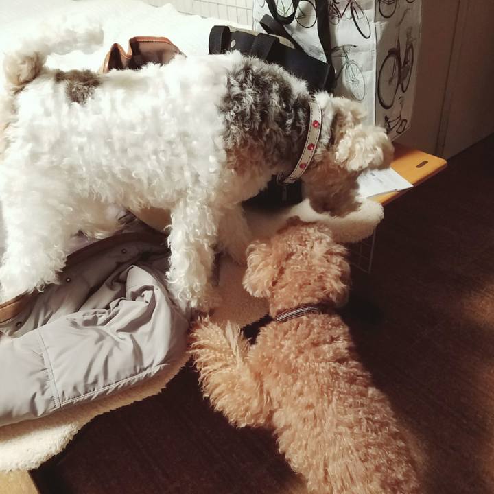 Cf522ea7 806b 4a2a ad4c a44c1efb8449