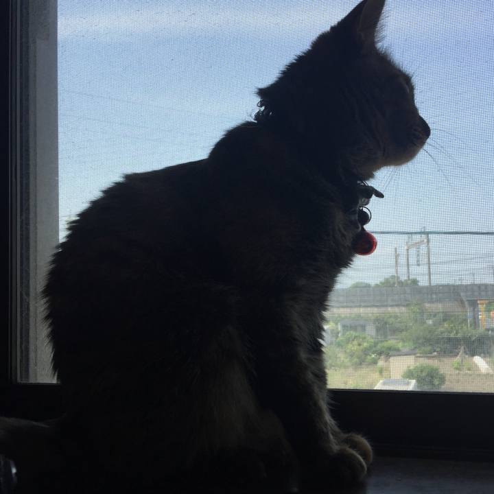 Cf52af50 4fc2 4aaa b65e 26b5f004fa66