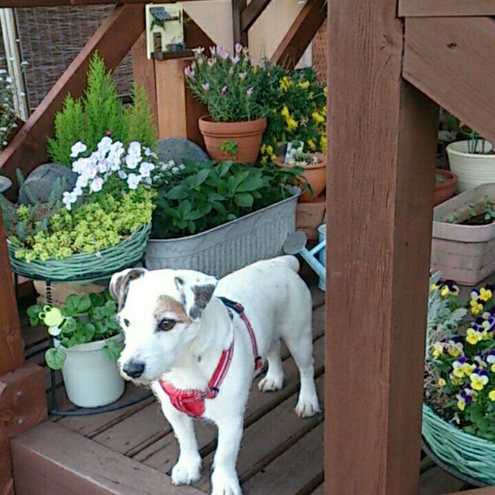 Cf52ff2d 7ed1 441c a5a2 0f1f4bc6e11a