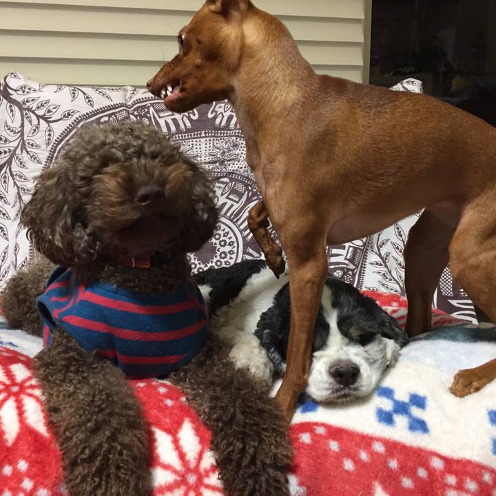 Cf532123 4a72 47aa 97a0 52b68b3d8878