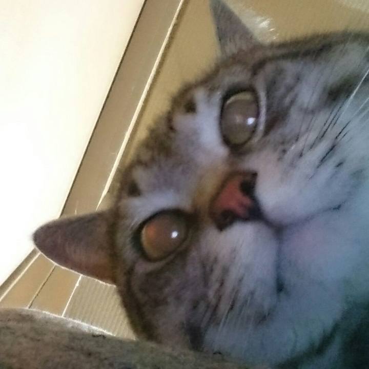 Cf5326d9 8a4d 4e90 ab68 fde6f4292e5c