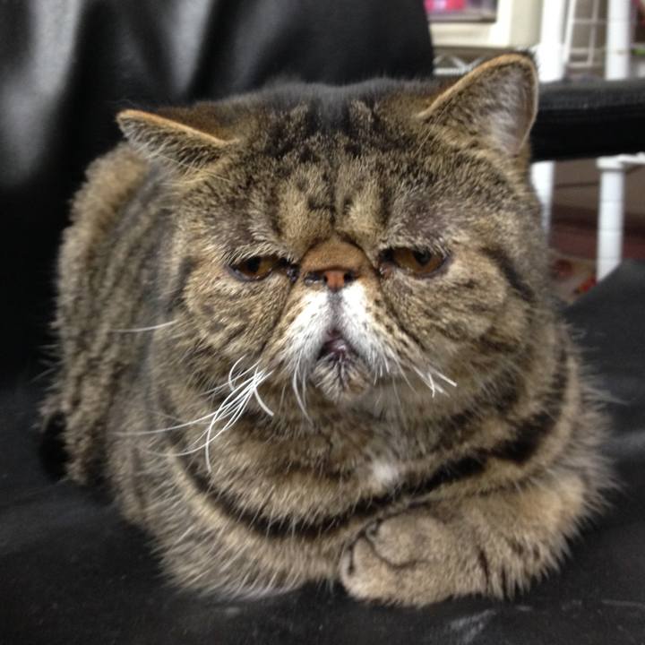 Cf538c5d b1ea 408a acf0 7f03cc1c66fb