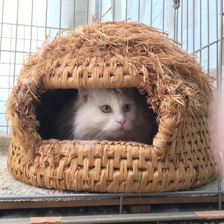 Cf53a18e 5db4 409a 9591 dd0e660afecd