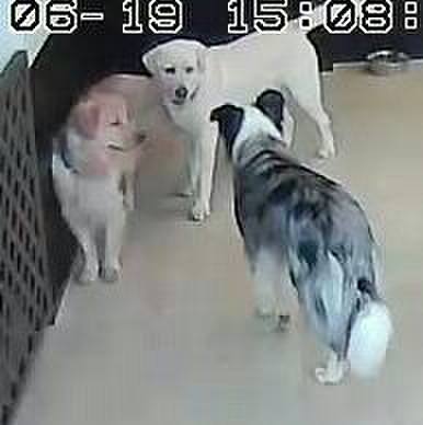 Cf53c61a 167f 432e 9071 d0feb169976c