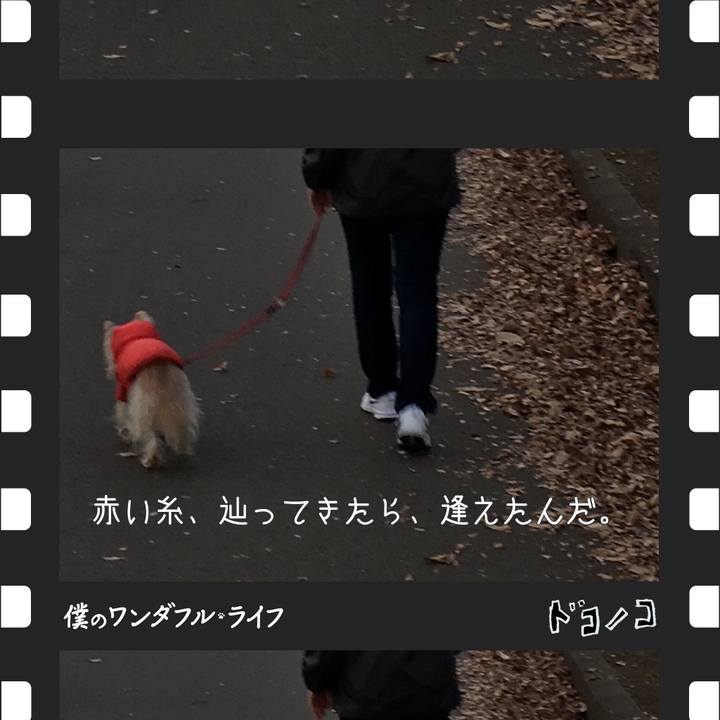 Cf5401e6 6c5c 489c bd55 1a6ce7e5d955