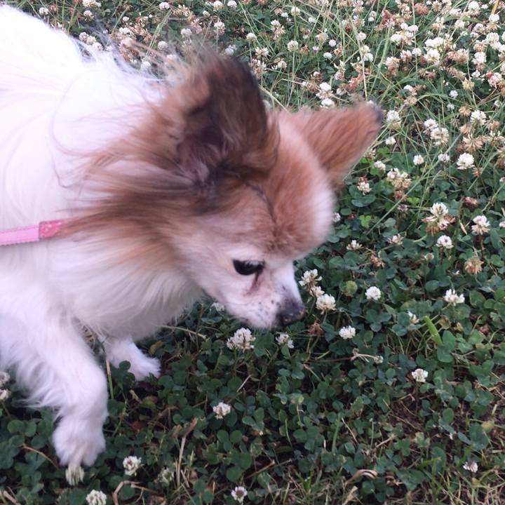 Cf548a3e acd8 4958 b914 401fd8422b4c