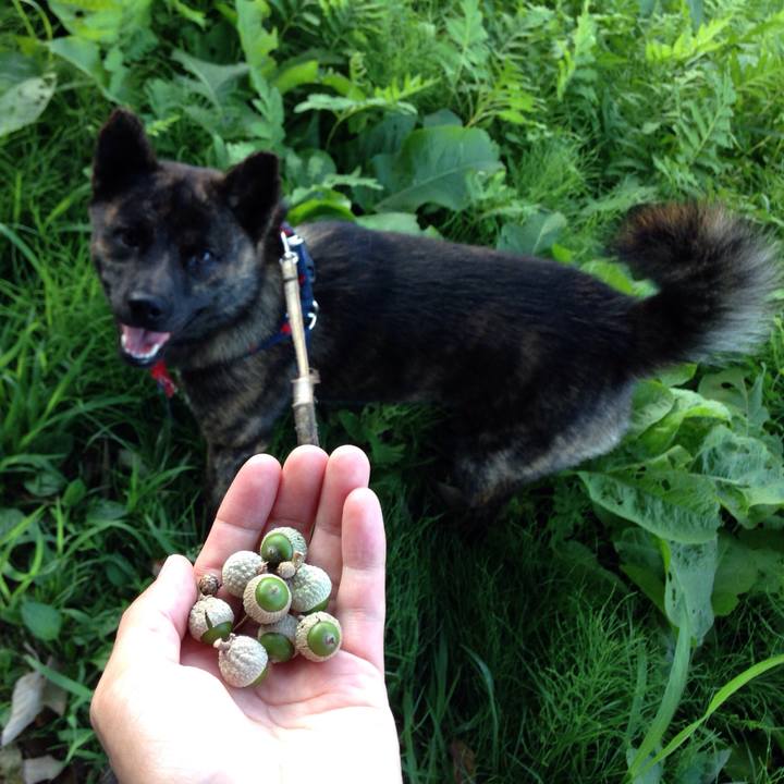 Cf54b575 012d 45dd a240 b8474728a60d