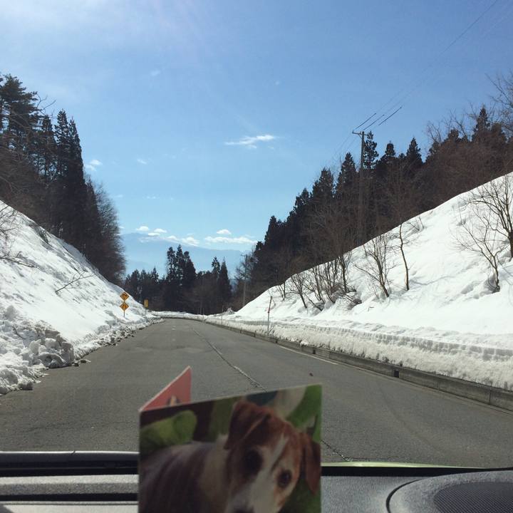 Cf54f4c6 06f2 42fd a8c4 b9b3187d5452