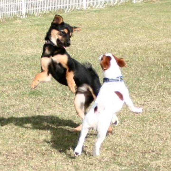 Cf55e27b 9199 456b 9336 ec2304403ac4