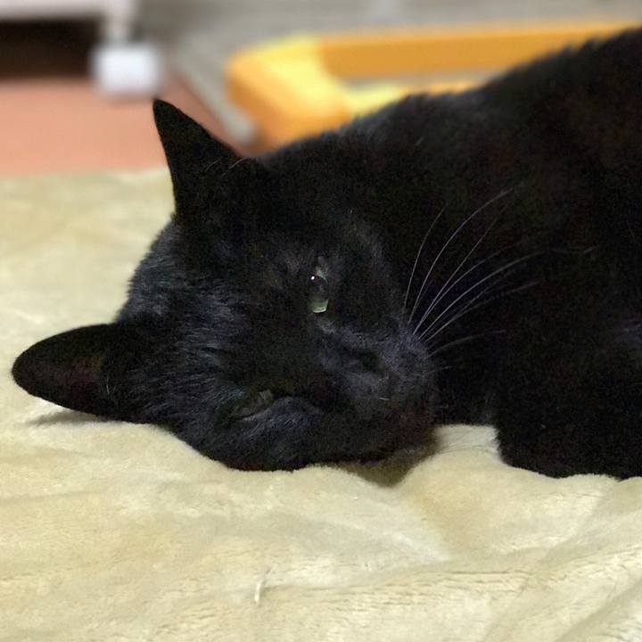 Cf5623f7 6503 4d80 84ef 1d287efe53e5