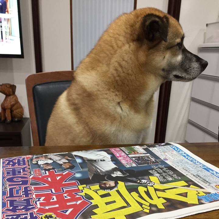 Cf563078 40b8 4d43 a619 f19b414412c9