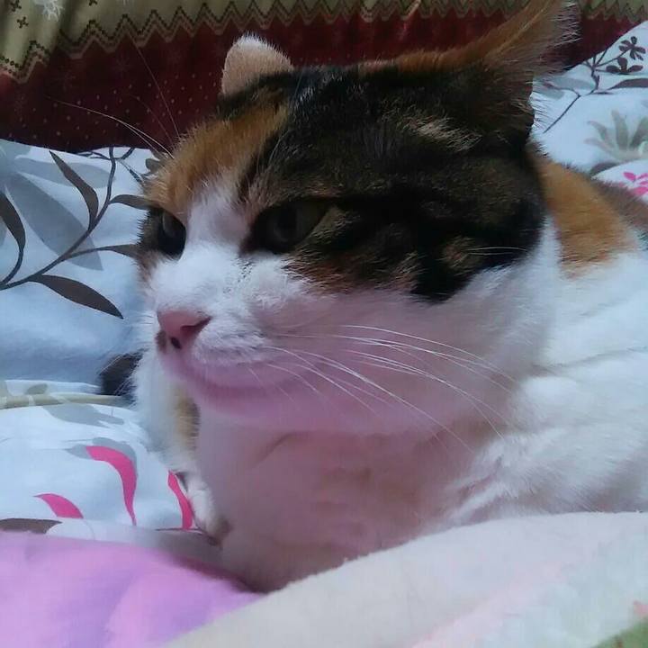 Cf568153 7518 4e07 beb4 89d2956e420e