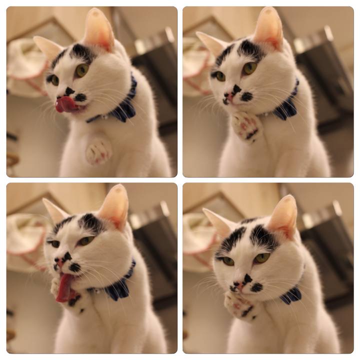 Cf57065b 98ca 4a3a bbc7 ac44f0451be5