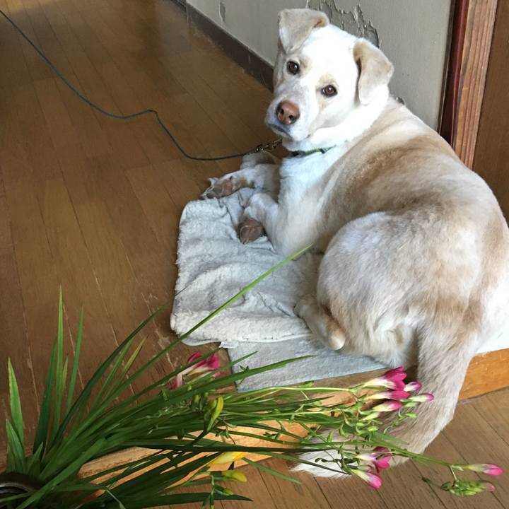 Cf579ba5 de67 4fd6 b028 7d673bf959ad