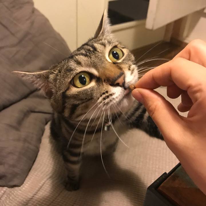 Cf5820cb 0abb 4274 b153 7a7412f99bbb