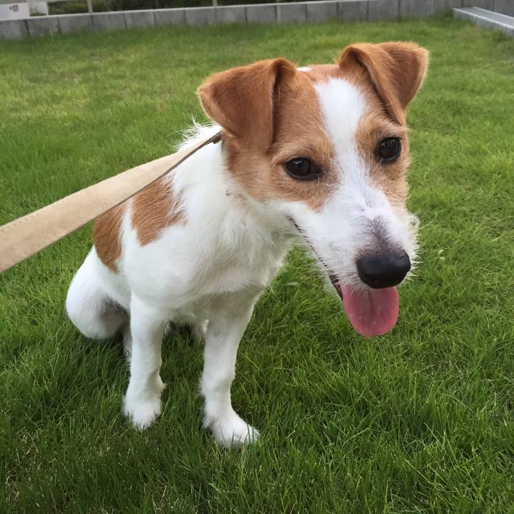 Cf5842d6 b564 4282 bde1 53af75f75c6c