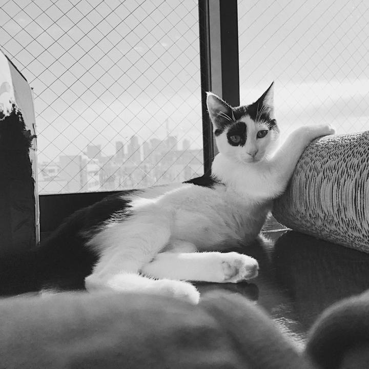 Cf5877b8 6e50 40ec b2b9 62b57e5bb172