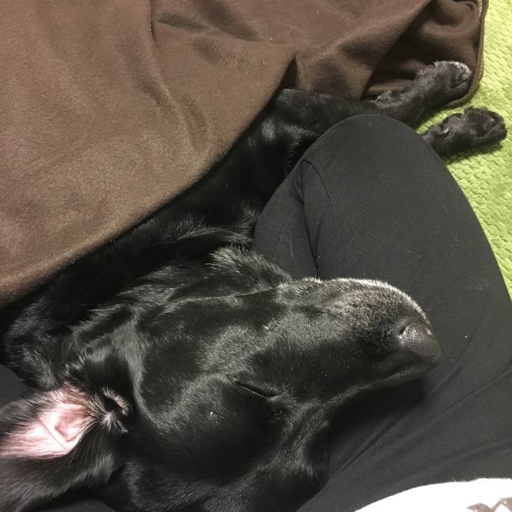 Cf58b196 ee15 4a2c b49a 8fa39cd61de3