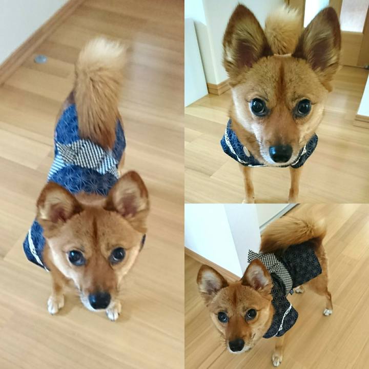 Cf5a42d0 31cc 4a86 94fa 2c8bebbfc4ee