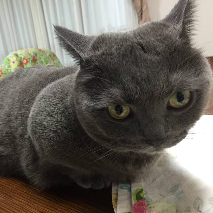 Cf5a6b3d 6020 4f67 ab1e 5b14110e7538