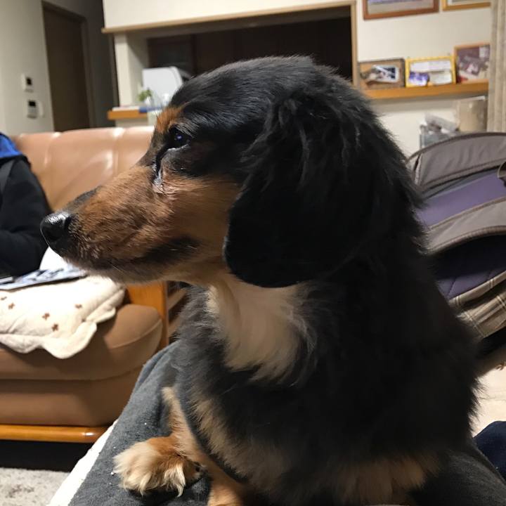 Cf5ab31e fed0 4ee7 9b71 98aadb7f4fa9