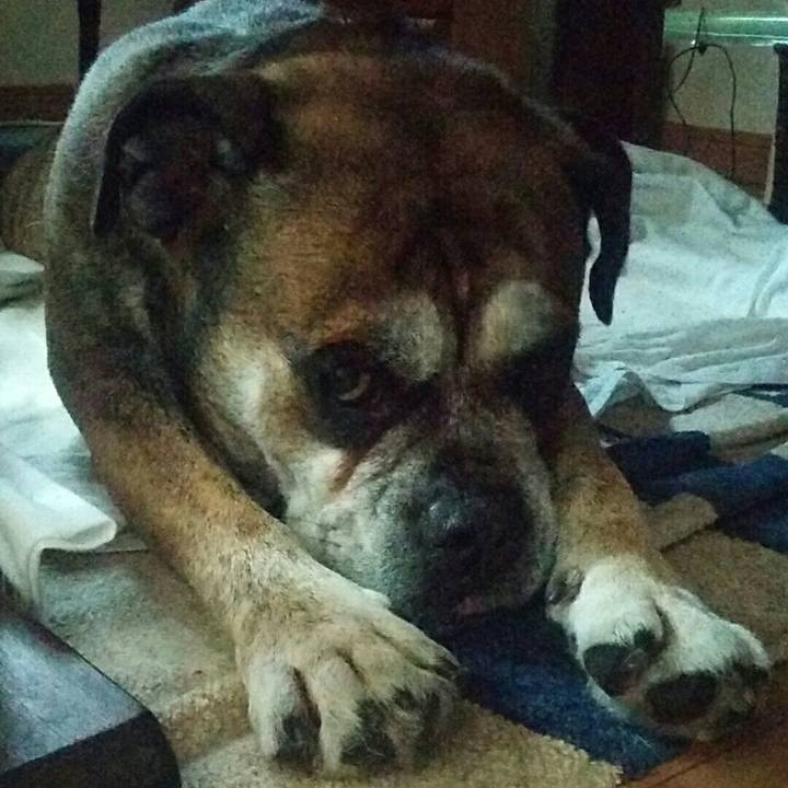 Cf5af60e bbce 42c7 b039 acaa306e9d11