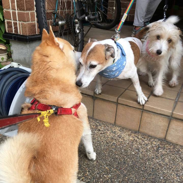 Cf5b8c4d a23a 482a b0fb c794abffae35