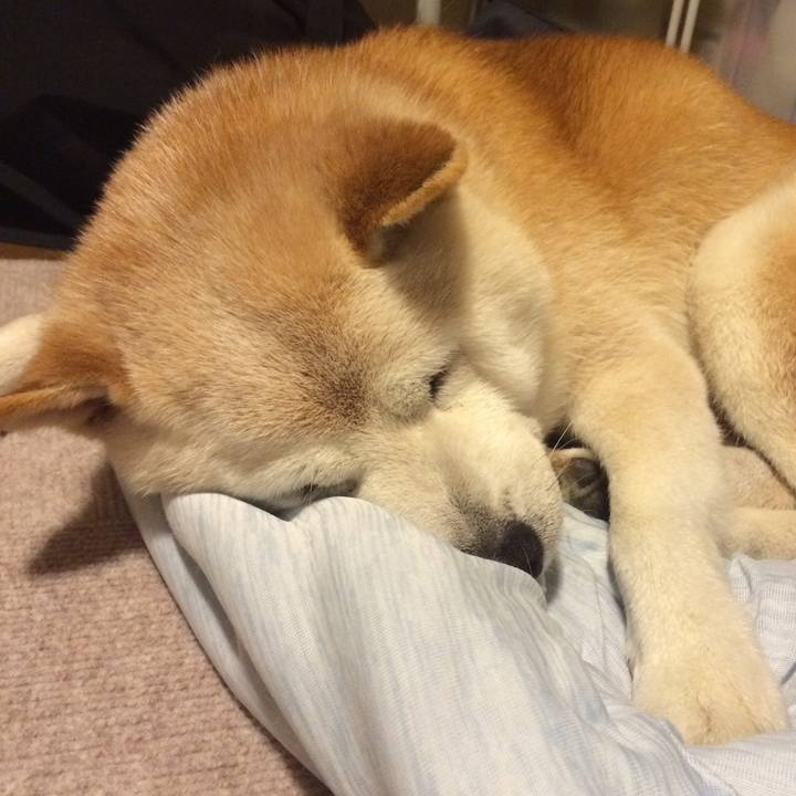 Cf5bc4ca 3cbf 4960 9b4f 19024731f880