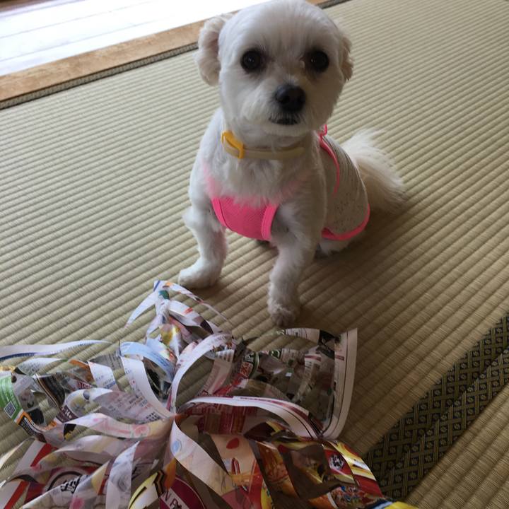 Cf5c1bf5 bc07 4ca0 ae9f dddb83337629