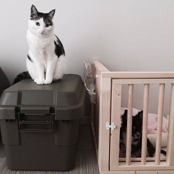 Cf5c7872 df28 4b10 a168 5d9a5b78f5ae