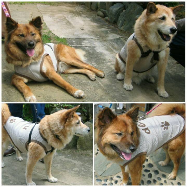 Cf5cf344 e2bc 46b7 950b ce25854be361