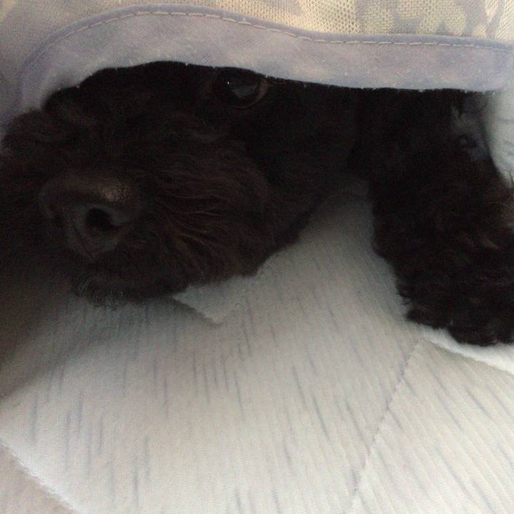 Cf5df57c 252a 4998 9f71 320b8b94d64a