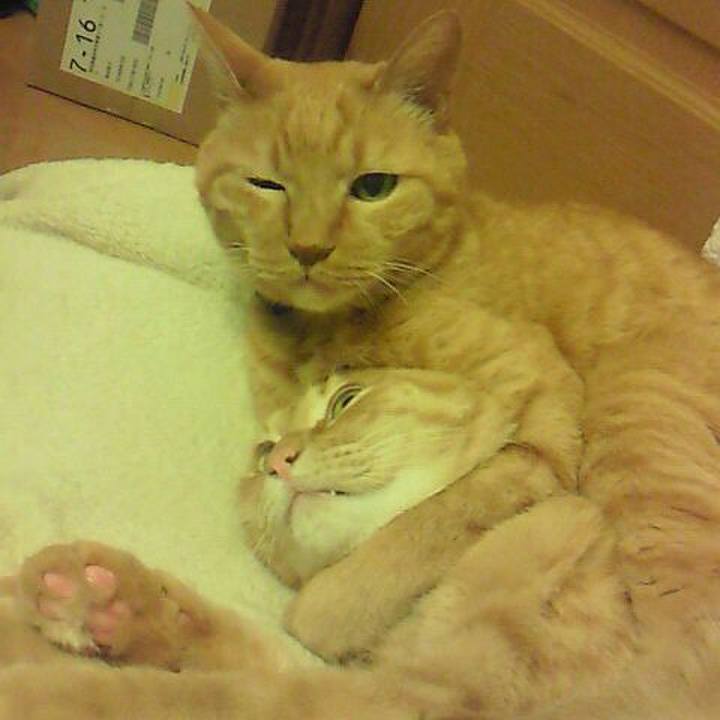 Cf5dfa0b d856 4003 9991 c66f8a48f928