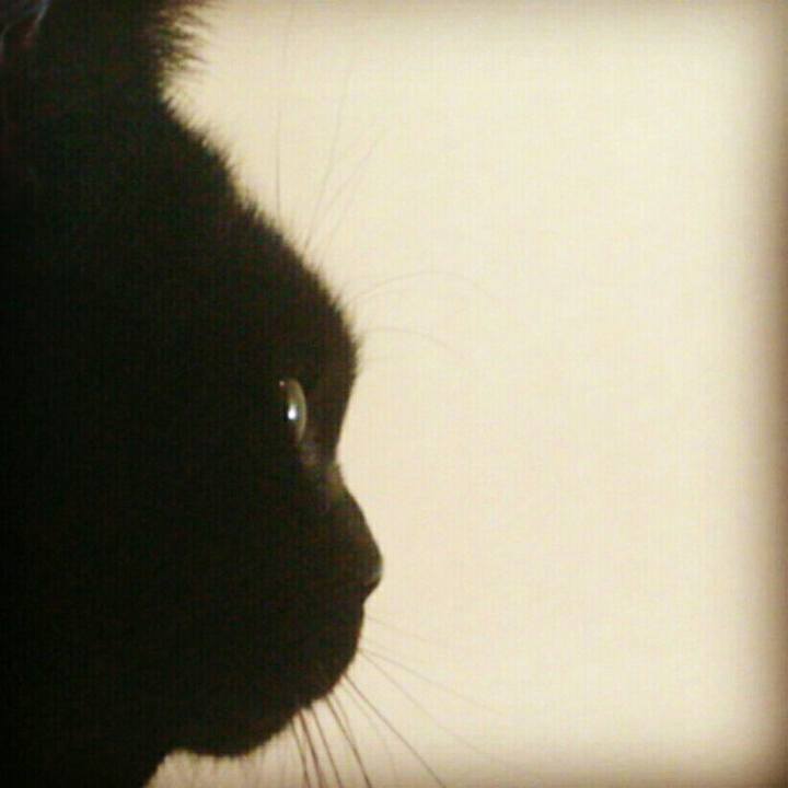 Cf5e3647 d839 4ea9 a741 b09ab538dac6